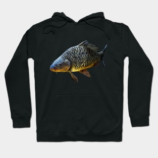 Carp Hoodie